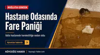 Hastane Odasında Fare Paniği: Muğla'da Kanser Hastasının İsyanı!