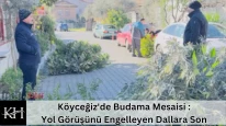 Köyceğiz'de Budama Mesaisi : Yol Görüşünü Engelleyen Dallara Son