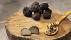 Köyceğiz MYO’da Trüf Mantarı Semineri Düzenleniyor