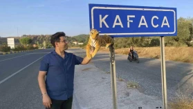 Karadeniz'in değil, Muğla'nın zekası etkileyici şekilde özgünleştirildi!