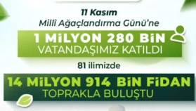 Yeşil Vatan Seferberliği: 14 milyon Fidan Toprakla Buluştu