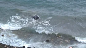 Datça Aktur Yolunda Araç Denize Düştü: Sürücü Yaralı