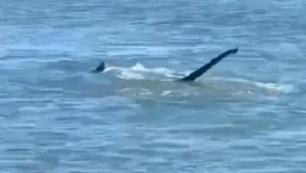 Van Gölü Canavarı Efsanesi Geri Mi Dönüyor? Yeni Görüntüler Tartışma Yarattı