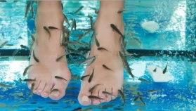 Köyceğiz Sultaniye Kaplıcası: Şifa Kaynağı mı, Bilimsel Tartışma mı?