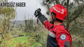 Muğla Seydikemer’de Ağaçta Mahsur Kalan Yaralı Alabak Kuşu Kurtarıldı