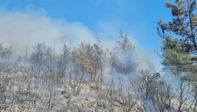 Bodrum Güvercinlik’te Orman Yangını: Havadan Müdahale Sürüyor