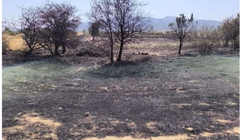 Muğla Yatağan’da Yangın Hacıbayramlar Mahallesi Yangını Büyümeden Söndürüldü!