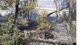 Muğla Menteşe’de Trafoda Çıkan Yangın Ormana Sıçradı