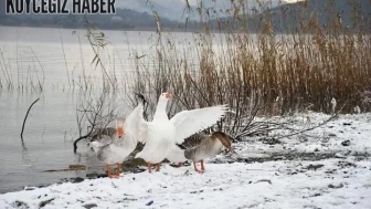 Köyceğiz’de Pansiyon Fiyatları ve Konaklama Alternatifleri