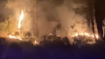 Kavaklıdere'de Orman Yangını Çıktı: Ekipler Müdahale İçin Sevk Edildi