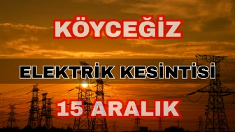 Köyceğiz elektrik kesintisi 15 Aralık: Toparlar, Beyobası, Zeytinalanı