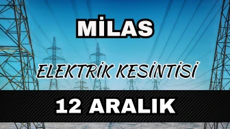 Milas elektrik kesintisi 12 Aralık: Mahallelerde saatler açıklandı