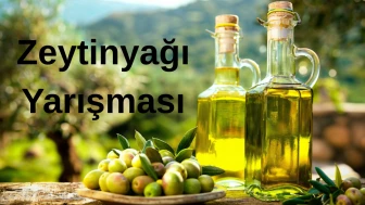 Muğla’da 7. Zeytinyağı Kalite Yarışması Başvuruları Başladı