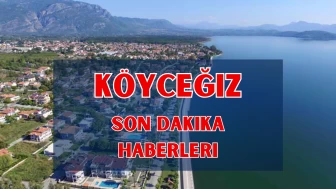 Köyceğiz Haber: Son Dakika Gelişmeler, Gündem Haberleri, Haberler Sitesi