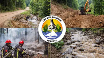 Köyceğiz’de Orman Yolları İçin Büyük Onarım İhalesi Yapıyor