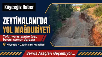 Köyceğiz'de Yapılmayan Yol Mağdur Ediyor