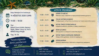 Datça'da Çocuklara Özel Deniz Çayırları Atölyesi