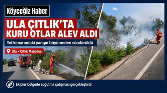 Ula Çıtlık’ta Yol Kenarında Yangın Çıktı