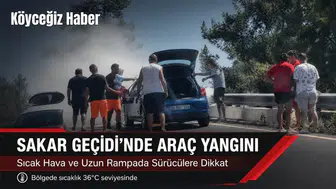 Sakar Geçidinde Korkutan Araç Yangını!