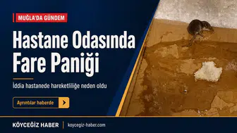 Hastane Odasında Fare Paniği: Muğla'da Kanser Hastasının İsyanı!