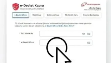 KYK Burs Sonuçları Ne Zaman Açıklanacak? Öğrenciler e-Devlet’te Takipte