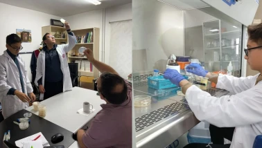 Köyceğiz BİLSEM’den TÜBİTAK’a Zeytin Projesi