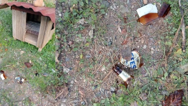 Köyceğiz’de Sokak Hayvanına Kırık Camla Saldırı Girişimi Tepki Çekti