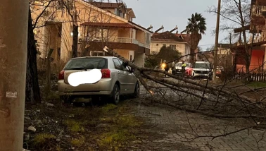 Köyceğiz Ulucami'de korkutan anlar! Dev ağaç otomobilin üzerine böyle devrildi
