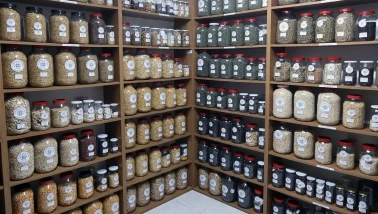 Muğla'dan 81 ile ücretsiz gönderiliyor! Tam 3 milyon ata tohumu dağıtılacak