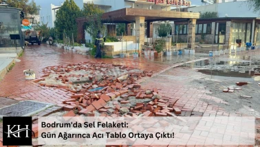 Bodrum’da Sel Dehşeti : İş Yerleri Su Altında, Hayvanlar Telef Oldu!