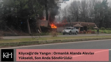 Köyceğiz'de Yangın : Ormanlık Alanda Alevler Yükseldi, Son Anda Söndürüldü!