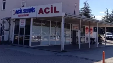 Arı Sokması Sonucu 9 Yaşındaki Nisa Nur Gökçe Hayatını Kaybetti