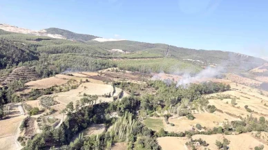 Muğla – Aydın Sınırında Orman Yangını Söndürüldü