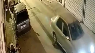 Milas’ta Nesli Tükenmekte Olan Oklu Kirpi Araç Altında Sürüklendi: Hayvan Telef Oldu