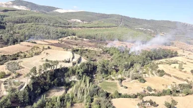 Muğla – Aydın Sınırında Orman Yangını Söndürüldü