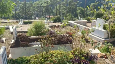 Marmaris İçmeler Mezarlığında Yaban Domuzu Tahribatı: Muhtardan Milli Parklar’a Çağrı