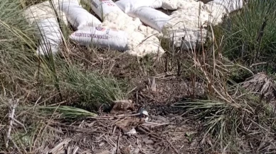 Köyceğiz Gölüne Un Döküldü: Delta Tesisleri Arkasında Şok Görüntüler