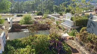 Marmaris İçmeler Mezarlığında Yaban Domuzu Tahribatı: Muhtardan Milli Parklar’a Çağrı