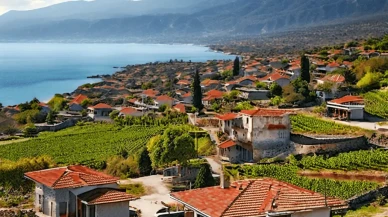 Muğla’da İlçe İlçe Ev Kiraları: Bodrum’da Zirve, Köyceğiz'de Uygun Seçenekler