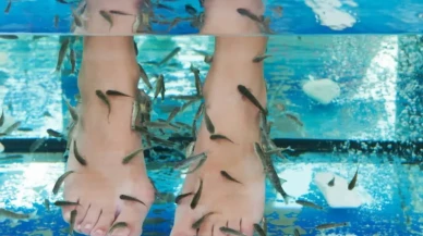 Köyceğiz Sultaniye Kaplıcası: Şifa Kaynağı mı, Bilimsel Tartışma mı?