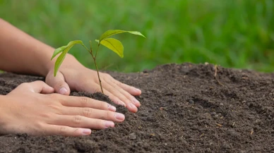 Köyceğiz’de 11 Kasım Ağaçlandırma Günü! Halk Davet Edildi