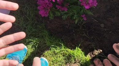 Köyceğiz Bilim ve Sanat Merkezi’nde 10 Kasım Anısına Fidan Dikimi Gerçekleştirildi