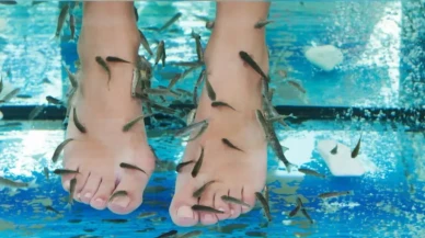 Köyceğiz Sultaniye Kaplıcası: Şifa Kaynağı mı, Bilimsel Tartışma mı?