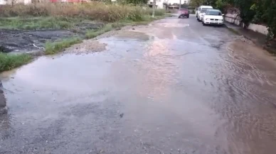 Muğla’da 24 Saatte En Fazla Yağış Köyceğiz Zeytinalanı’nda Ölçüldü