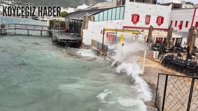 Bodrum’da Fırtına Hayatı Felç Etti: Ağaçlar Devrildi, Feribot Seferleri İptal Edildi