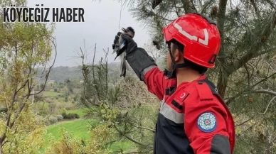 Muğla Seydikemer’de Ağaçta Mahsur Kalan Yaralı Alabak Kuşu Kurtarıldı