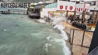 Bodrum’da Fırtına Hayatı Felç Etti: Ağaçlar Devrildi, Feribot Seferleri İptal Edildi