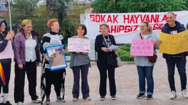 Köyceğiz Canları Platformu: Özgürce Bir Arada Yaşamak için Mücadele Sürecek