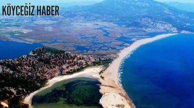 İztuzu Plajı 2025: Caretta Caretta’ların Evi, Doğanın Kalbinde Altın Sarısı Bir Kumsal