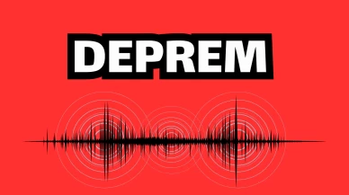 Muğla'da Peş Peşe Depremler: Marmaris ve Milas'ta Sarsıntılar Hissedildi